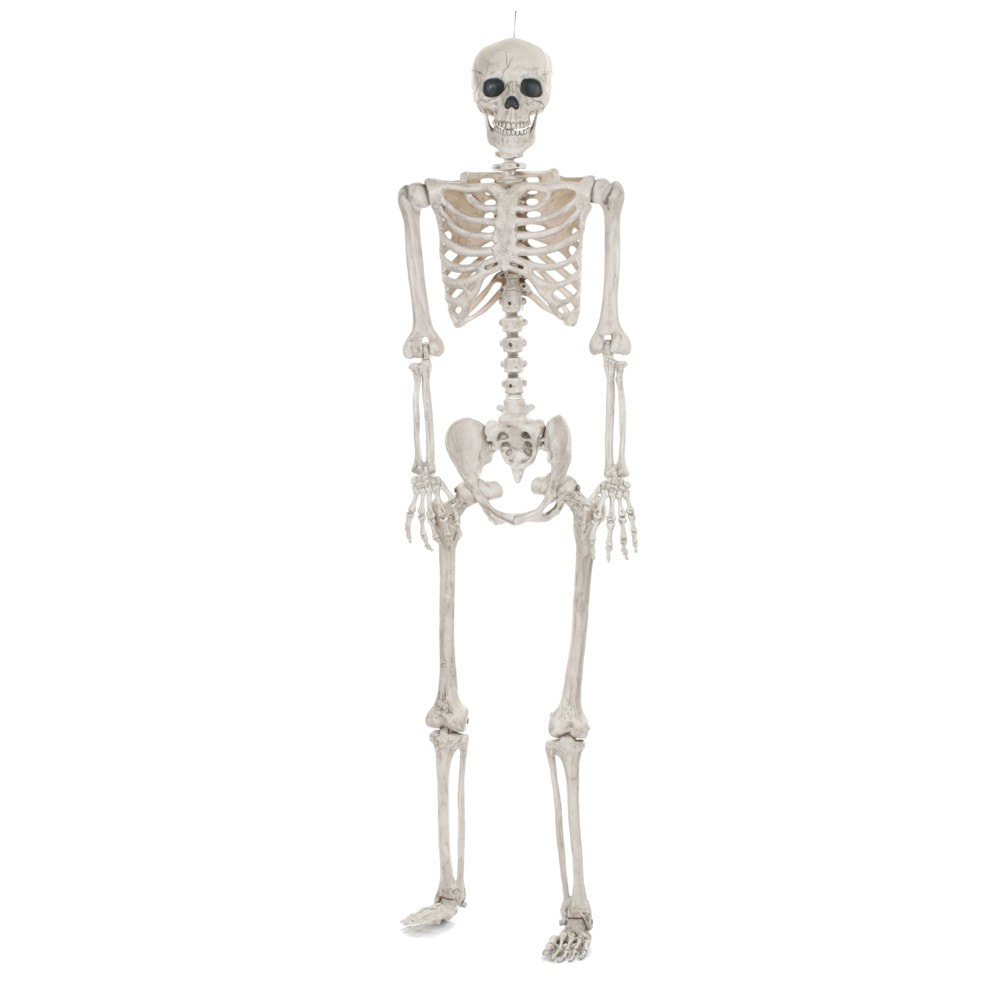 Halloween Lefesize Posable Skeleton