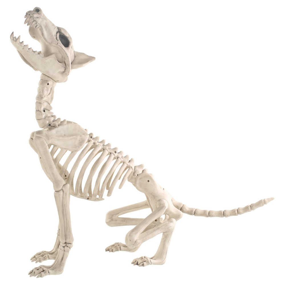 Halloween Skeleton Wolf